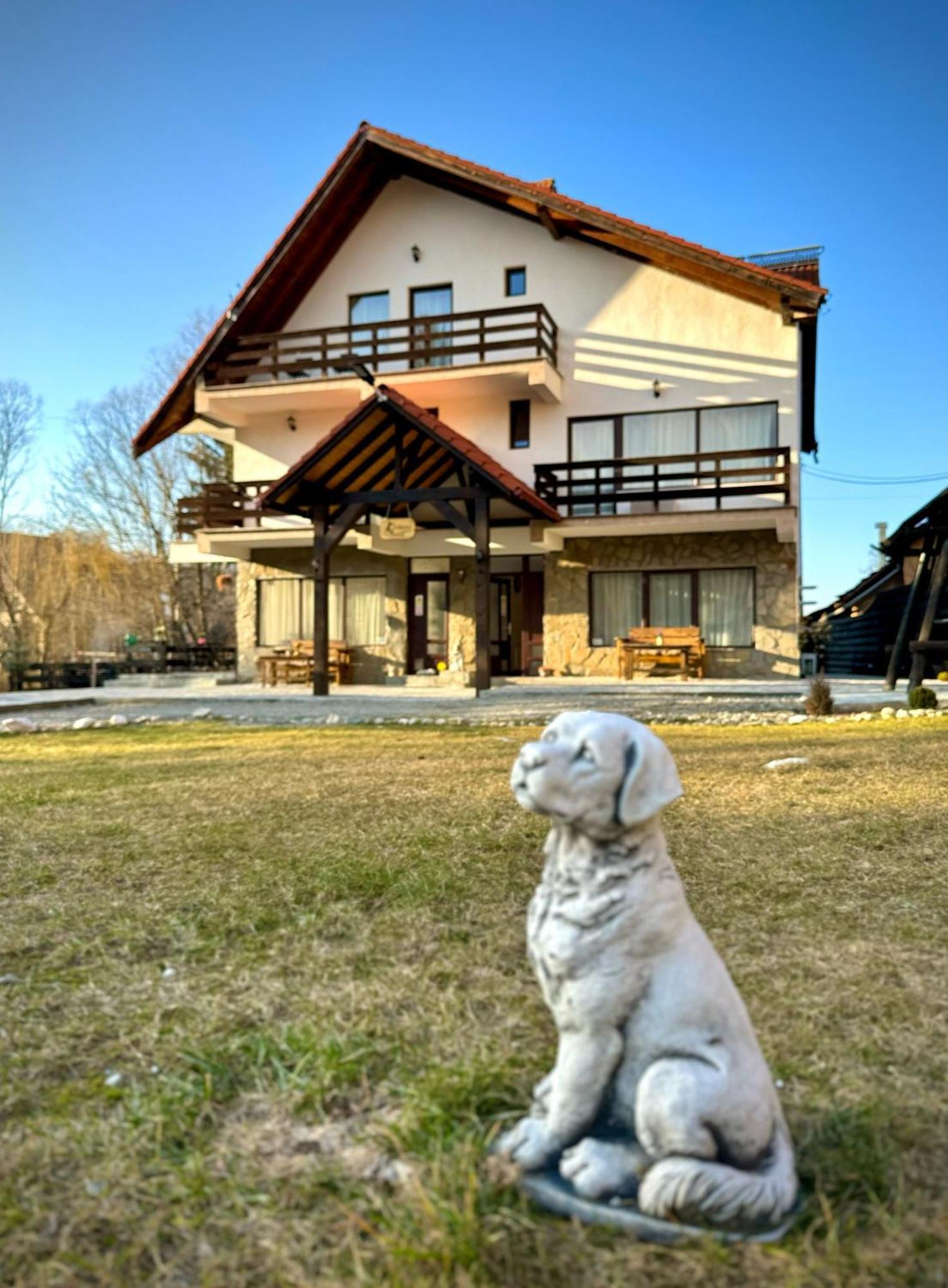 Vila Vibrant Bran  Exterior foto