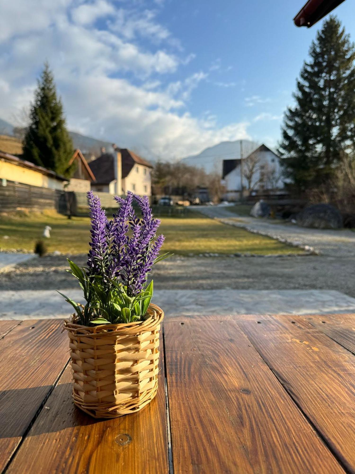 Vila Vibrant Bran  Exterior foto